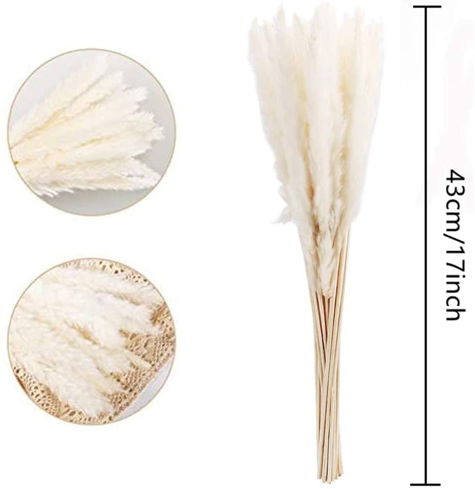 Dried pampas grass flower bouquet for boho decor 30 stems - White