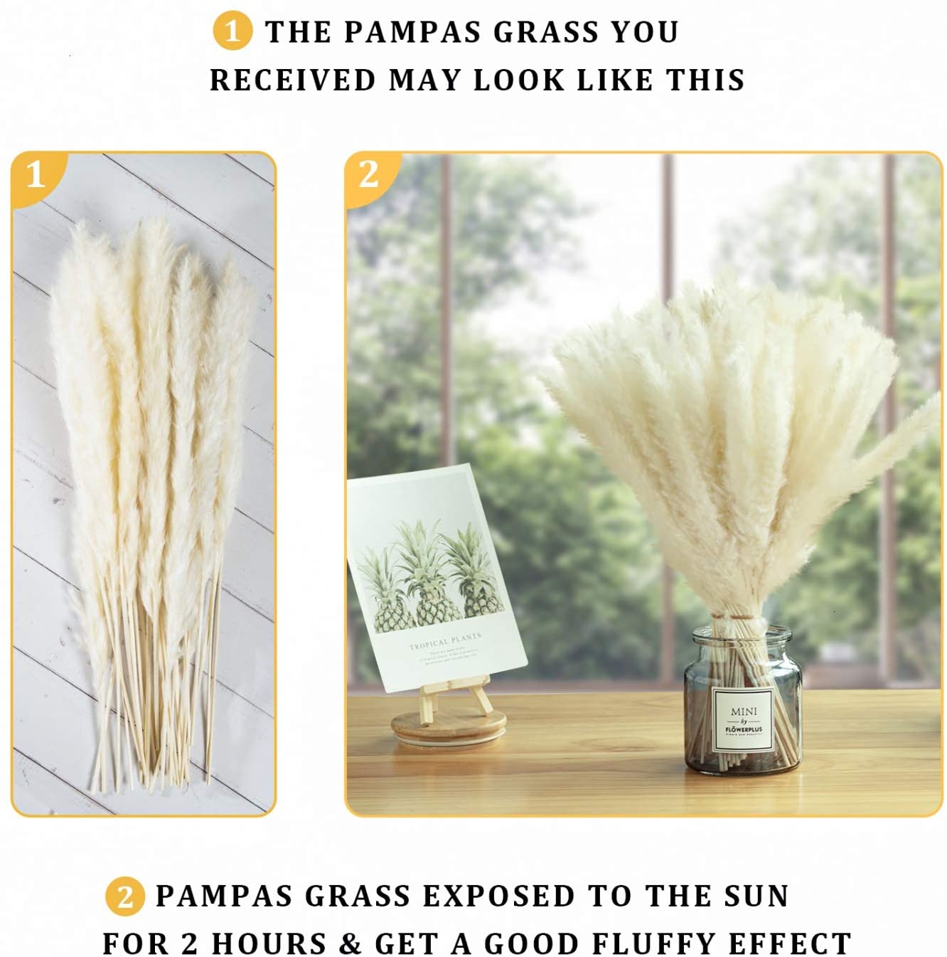 Dried pampas grass flower bouquet for boho decor 30 stems - White